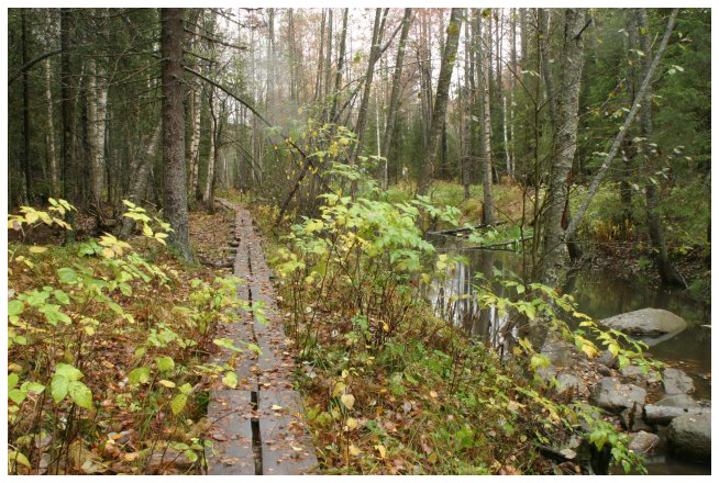 Purola creek