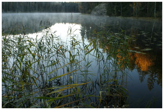 Morning at Haukkalampi, part 1