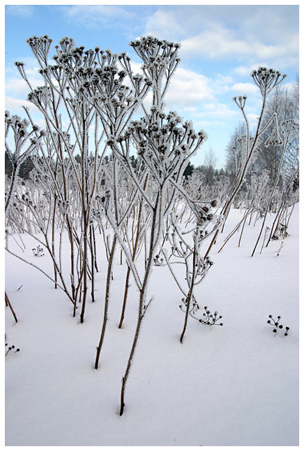 Latokaski winter scenes, part II