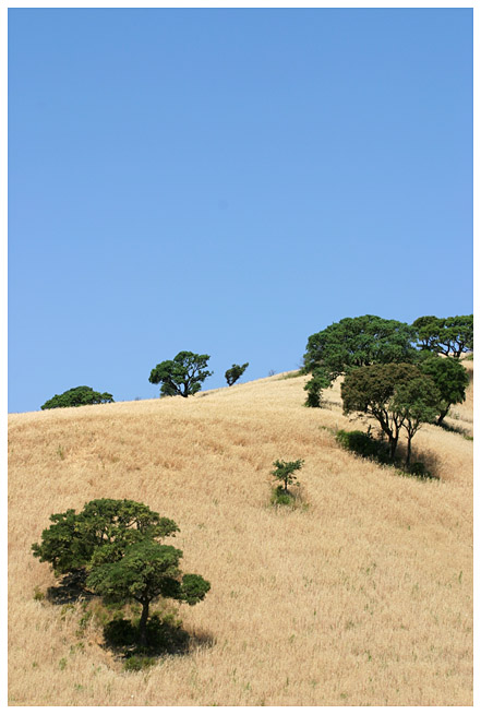 Sardegna landscape