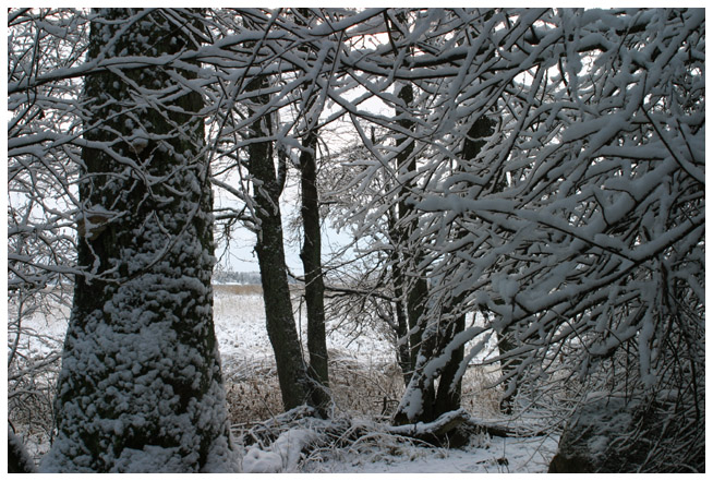 Fiskarsinmki in wintertime I