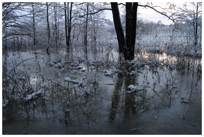 Fiskarsinmki in wintertime III