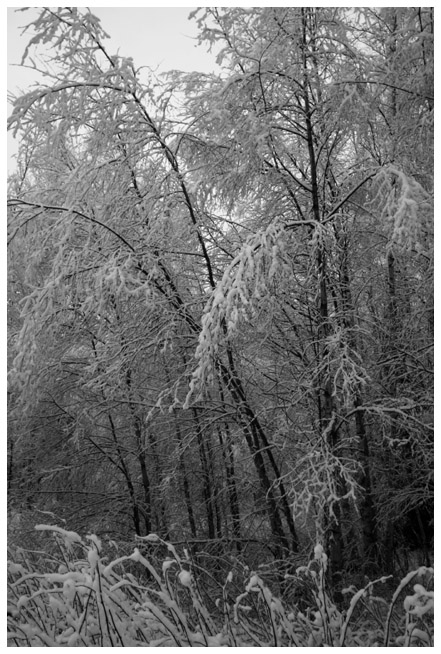 Fiskarsinmki in wintertime IV