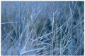 Hay photo #2