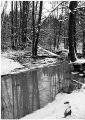 Oittaa creek
