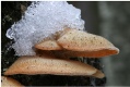 Hats and snow, part III