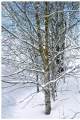 Latokaski winter scenes, part I (yes, actually in Feb)