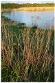 Suomenoja evening scenery