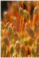 Crowded