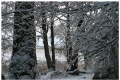Fiskarsinmki in wintertime I