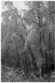 Fiskarsinmki in wintertime IV